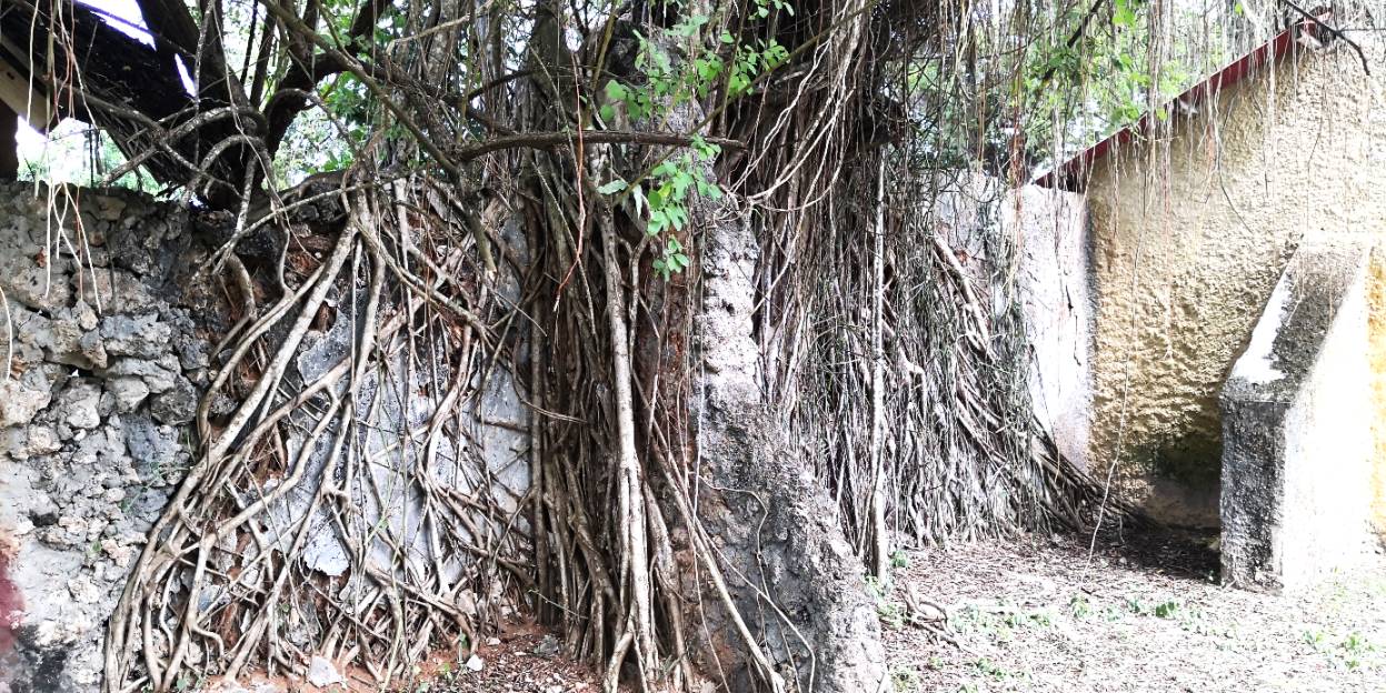 Prison Island 13